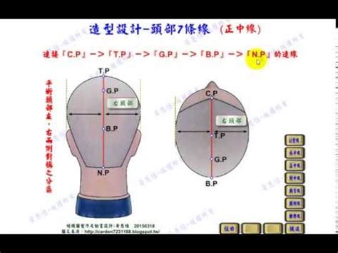 頭部七條基準線|學習剪髮之前 先認識頭部15個基準點 、7條線掌握剪髮架構 〔點。